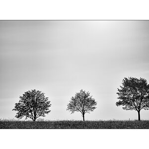 ErzDSC_1322.jpg