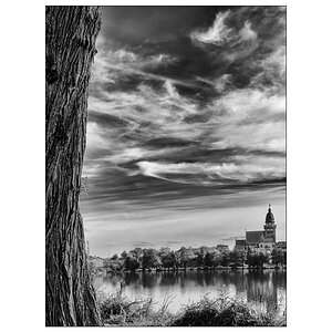 SeeIMG_2297.jpg