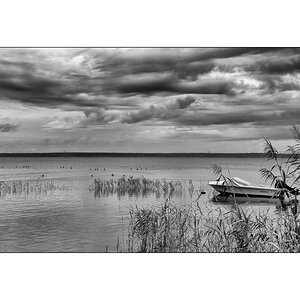 SeeIMG_2344.jpg