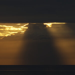 _Z507369_DxOPAAxl.jpg