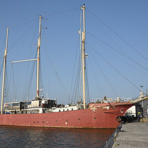 DSC_1493.JPG