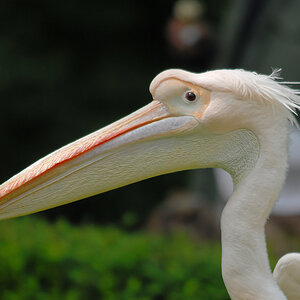 DSC_7349nikon.jpg