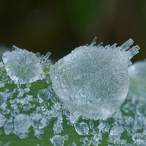N9292473nikon.jpg