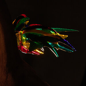 DSC02875-Kopie.jpg