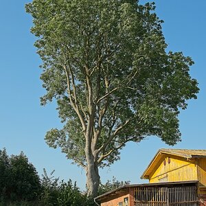 2024-09-22_12-55-46_NIKON Z 5_900.jpg