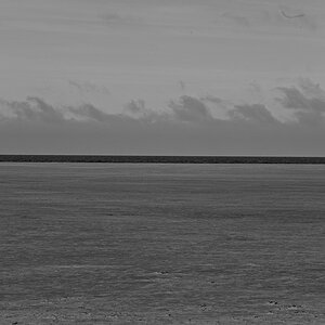 2024-09-17_09-17-07_NIKON Z 5_1200.jpg