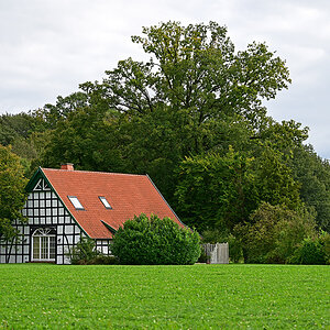 Z8A_0330t5l10s45p1.jpg