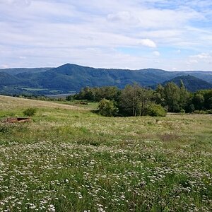 DSC_0722n.jpg
