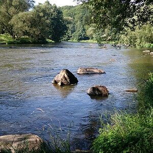 DSC_0772n.jpg