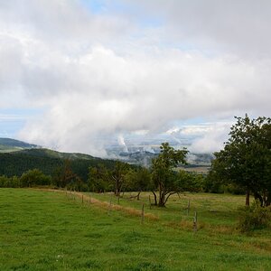 DSC_0910_00010n.jpg