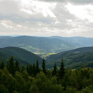 DSC_0923_00001n.jpg