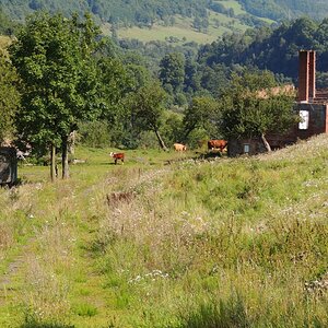 DSCN4626 (2)n.jpg