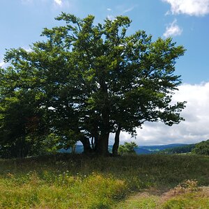 P1010180n.jpg