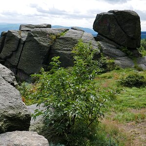 P1010187n.jpg