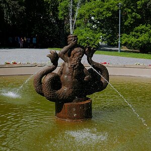 P1010313n.jpg