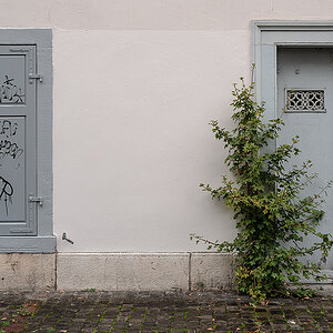 Fenster.jpg