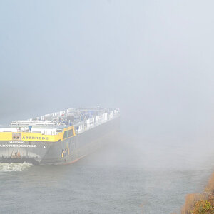 The Fog 1.jpg