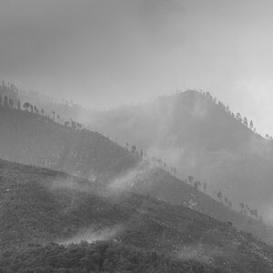 DSC_2990.jpg