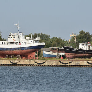 DSC_1510.JPG