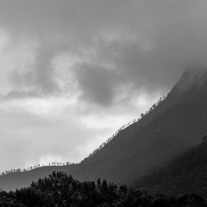 DSC_2984.jpg