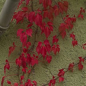 2024-10-04_11-32-39_004_NIKON Z 5.jpg