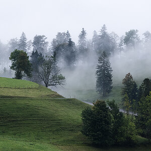 Nebel.jpg