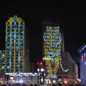 DSC_2229 - Kopie.JPG