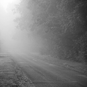Vorfahrtstrasse im Nebel BW_2.jpg
