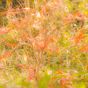 PA090058-Edit.jpg