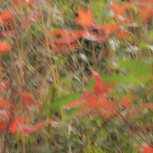 PA090065-Edit.jpg
