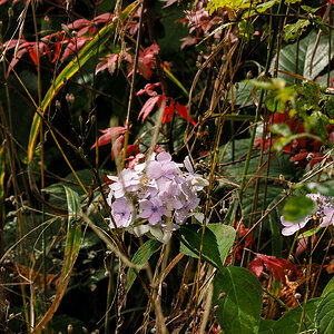 PA090047-Edit.jpg