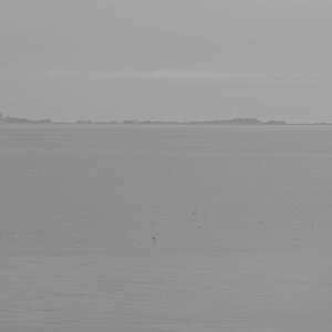 _Z507335_DxOPAxl.jpg