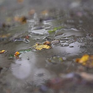 Herbst01.jpg