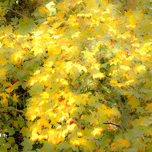 PA130039-Edit.jpg