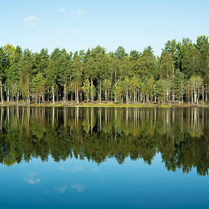 Scheden-Norwegen 2024-2856.jpg