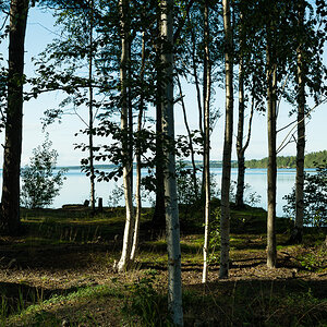 Scheden-Norwegen 2024-2978.jpg