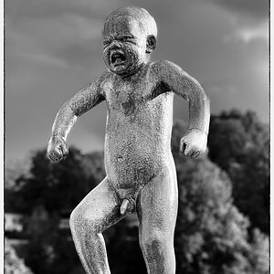 Scheden-Norwegen 2024-3831-Bearbeitet.jpg