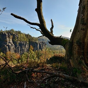 DSC_9633_00001n.jpg