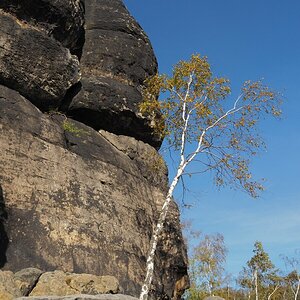 PA163591.JPGn.JPG