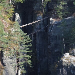 PA163578.JPGn.JPG