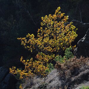 PA163585.JPGn.JPG