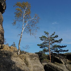 PA163593.JPGn.JPG