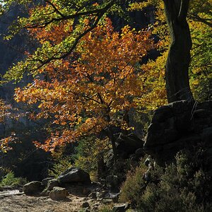 PA163619.JPGn.JPG