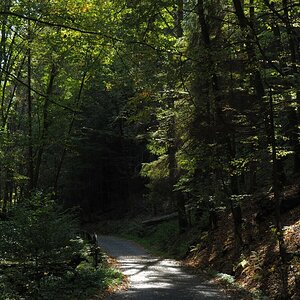 PA163640.JPGn.JPG