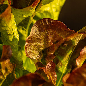 PA170023-Edit-2.jpg