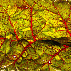 P9220009-Edit.jpg