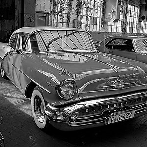 2024-10-13_12-08-02_078_NIKON Z 5 bw_1200.jpg