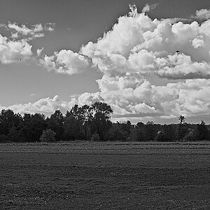 2024-09-28_13-25-52_012_NIKON Z 5 bw_1200.jpg