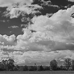 2024-09-28_13-29-16_019_NIKON Z 5 bw_1200.jpg