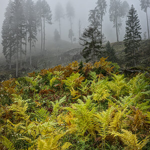 Herbst im Trentino